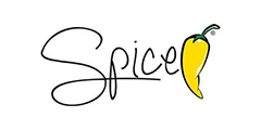 Spice Electronics