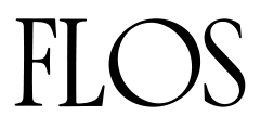 Flos