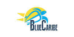 Blue Caribe Tours